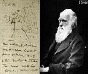 Puzzle Charles Darwin (1809-1882), Βρετανός βιολόγος